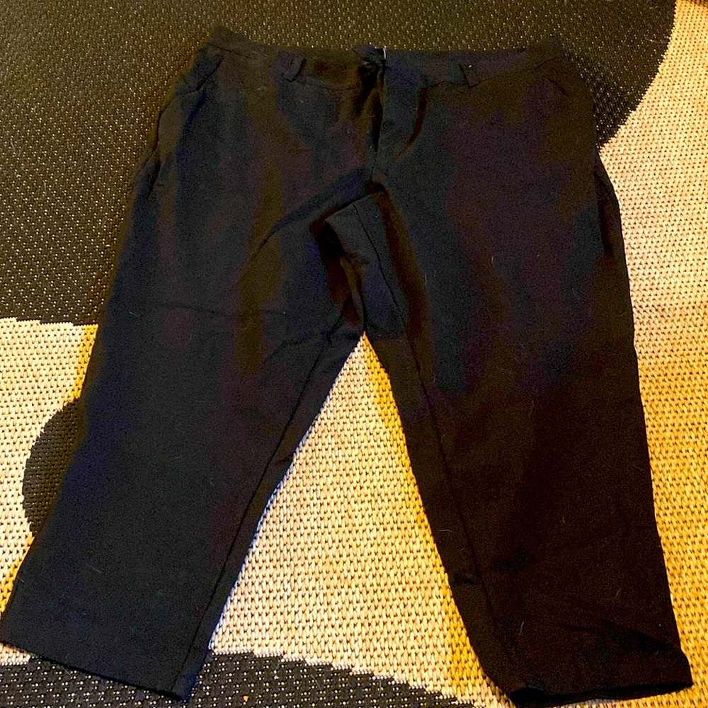 Universal standard cigarette pants